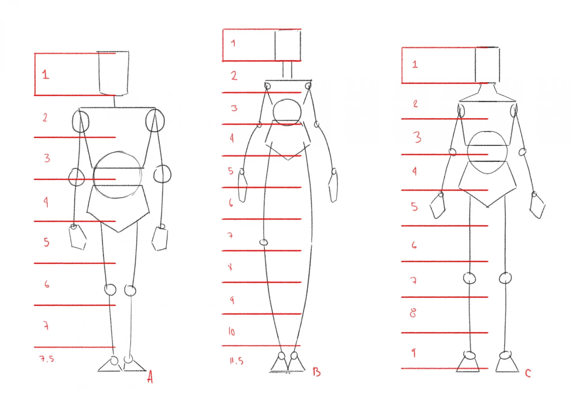 the rule of heads in drawing