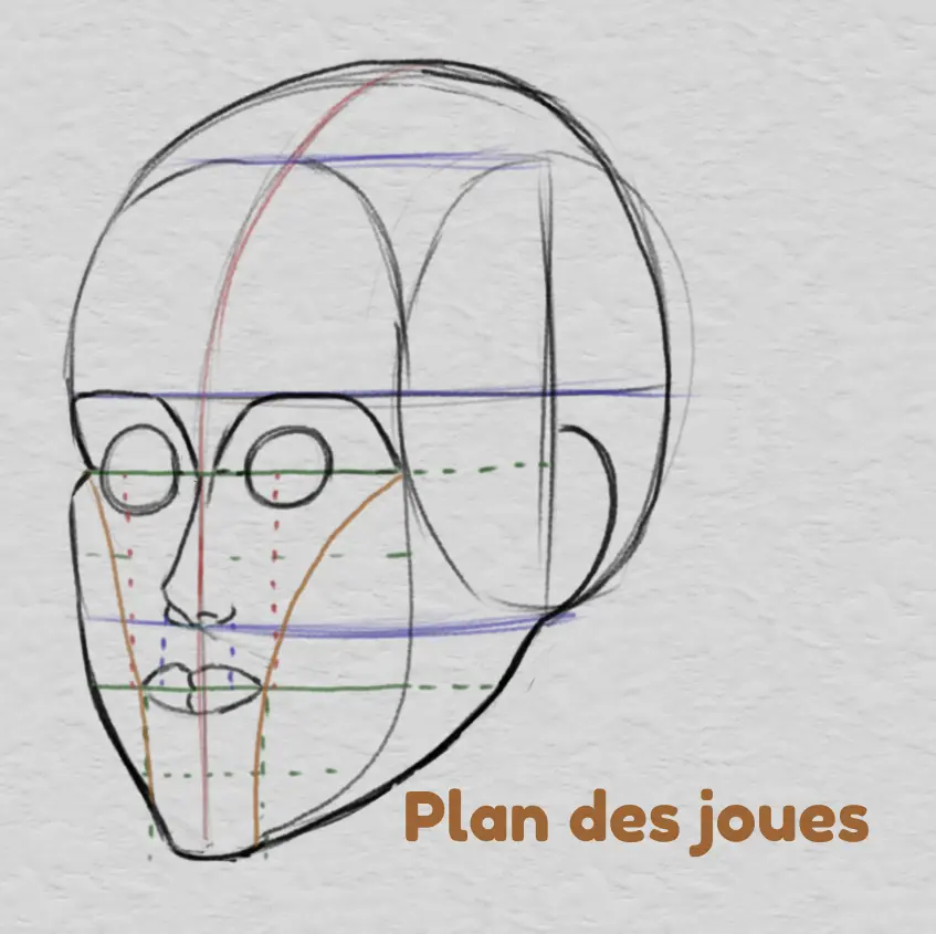 dessiner les joues et les proportions du visage