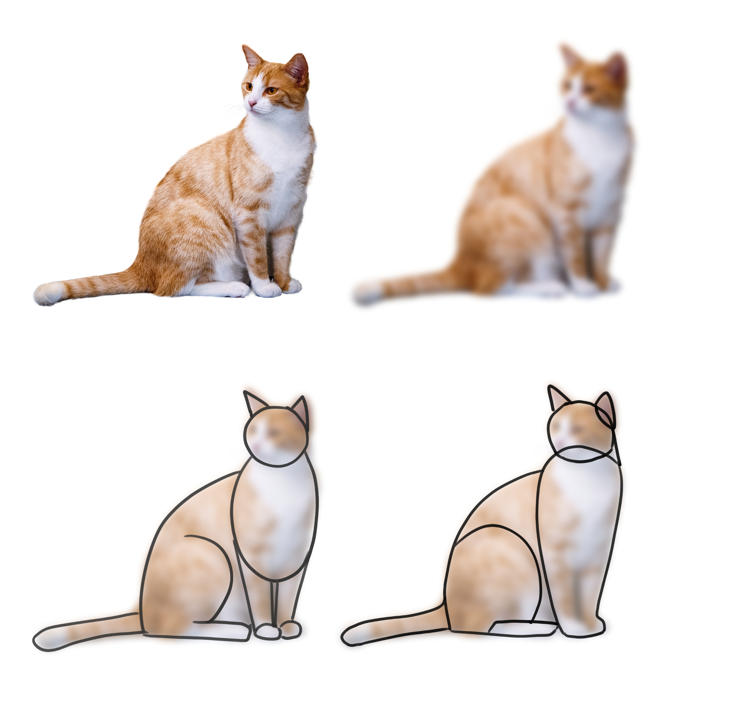 analyse de la forme du chat à dessiner