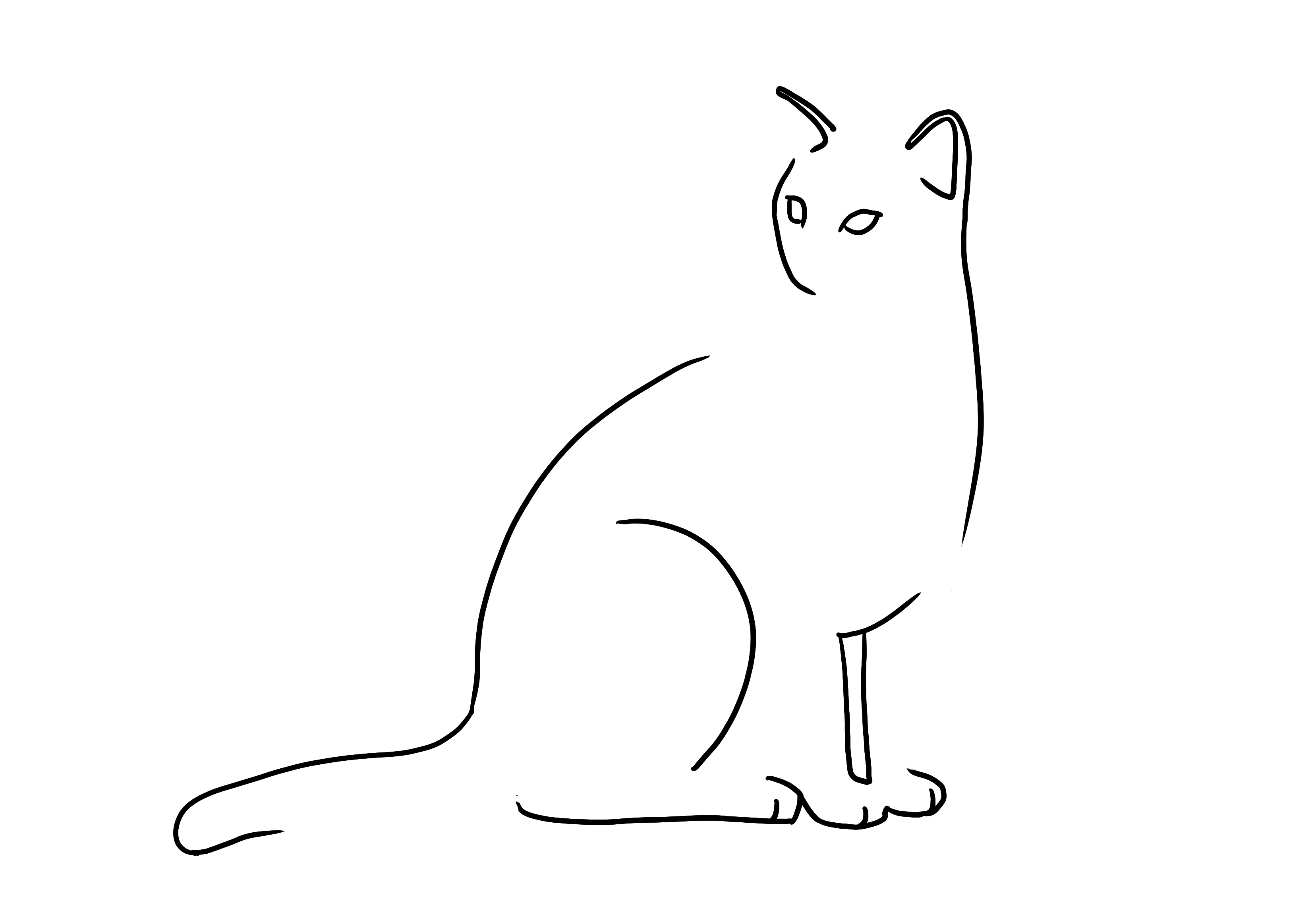 dessin minimaliste d’un chat