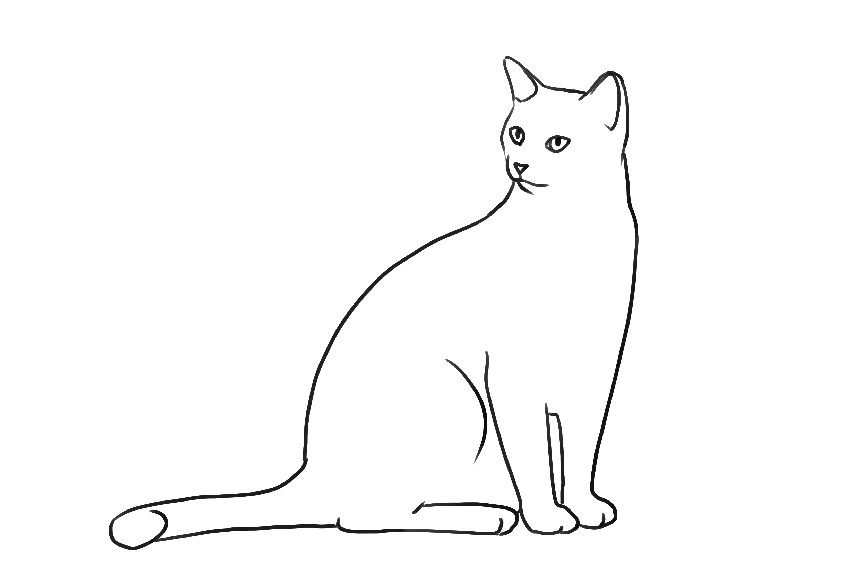 Lisser les formes du dessin de chat