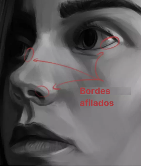 dibujo de los bordes de un retrato realista
