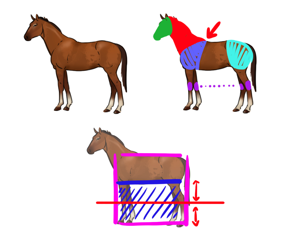 illustration du dessin difficile du cheval 1