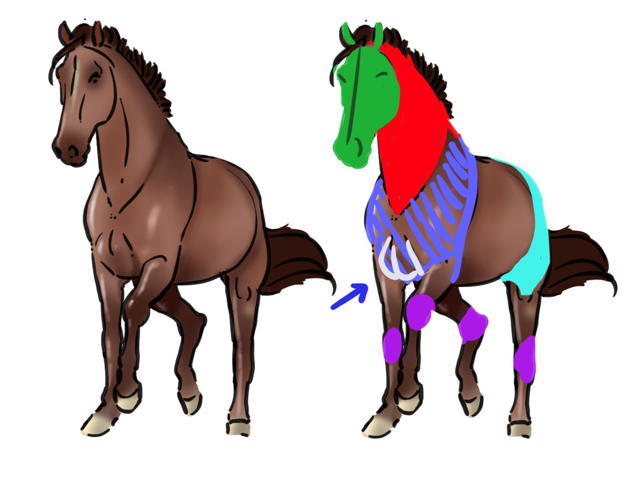 illustration du dessin difficile du cheval 2