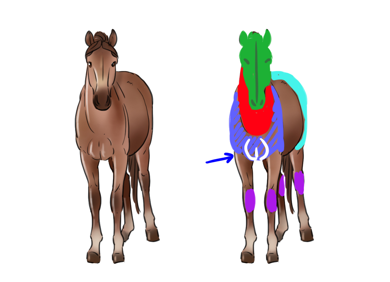 illustration du dessin difficile du cheval 3