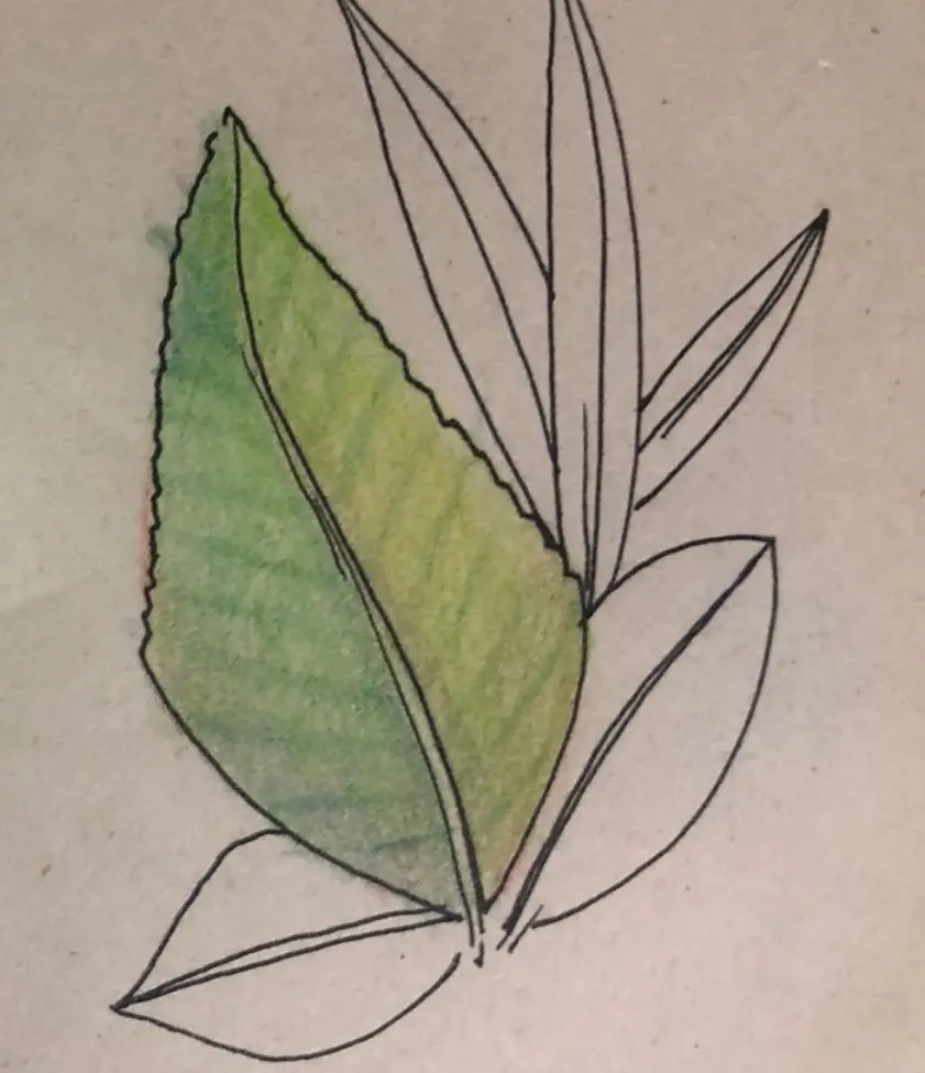 lisser le papier pour un meilleur rendu