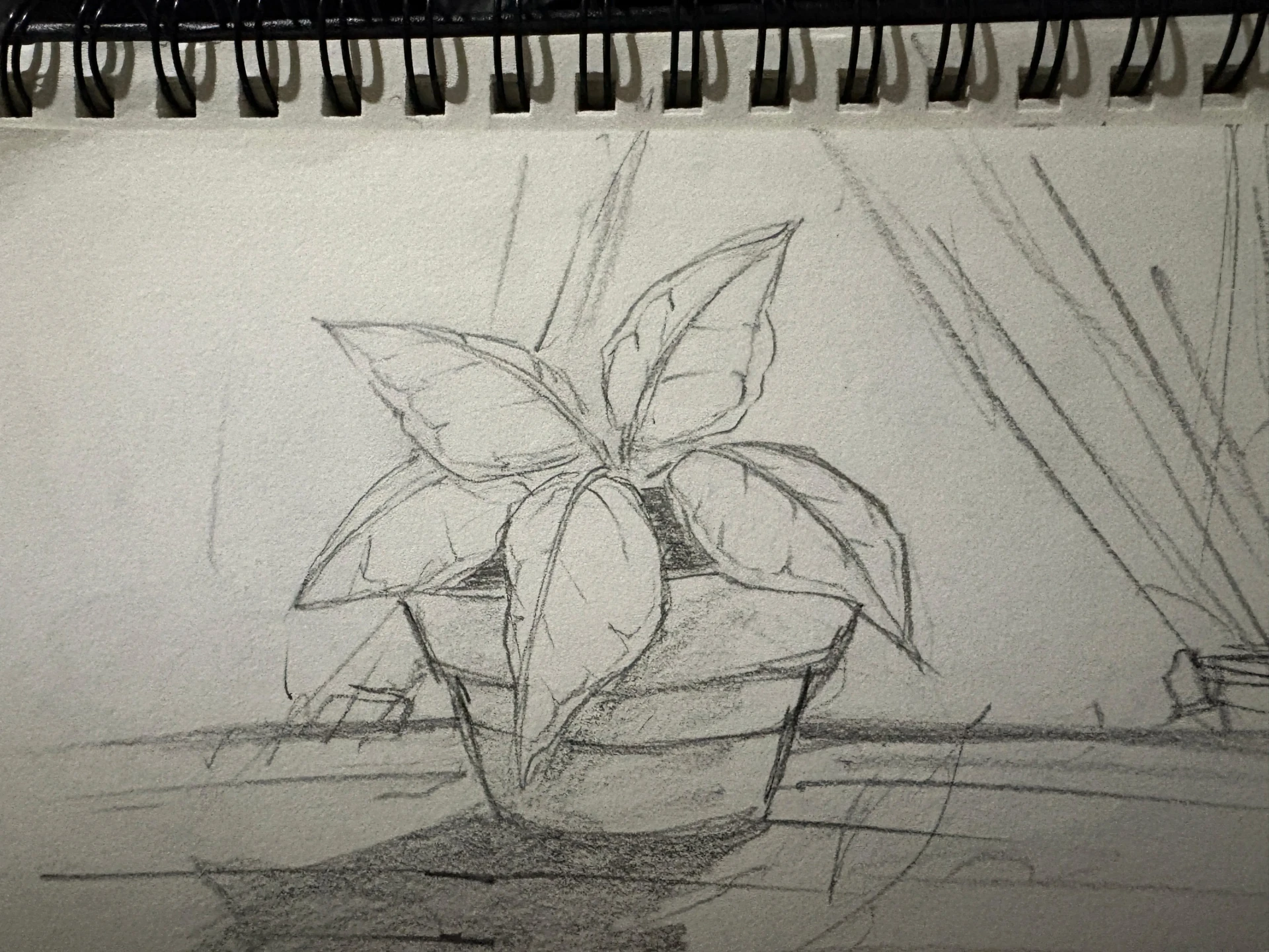 dessin à main levée