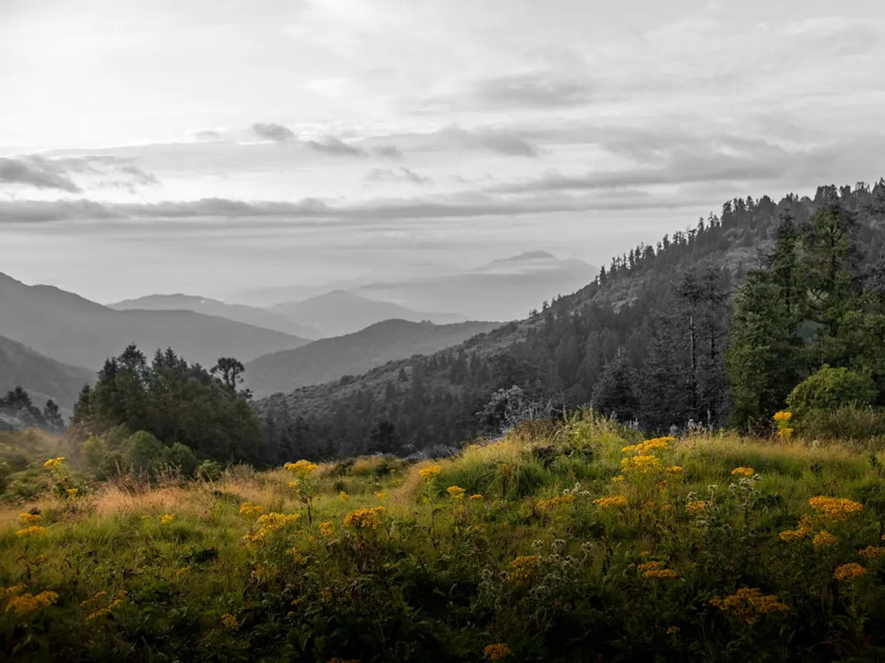 analyser le premier plan d’un paysage en perspective atmosphérique