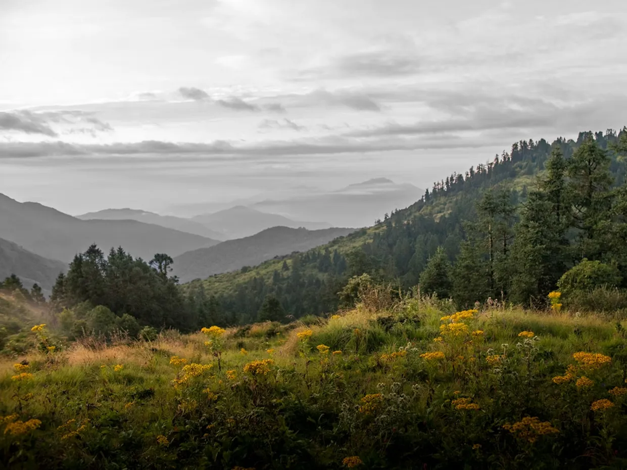 analyser le second plan d’un paysage en perspective atmosphérique