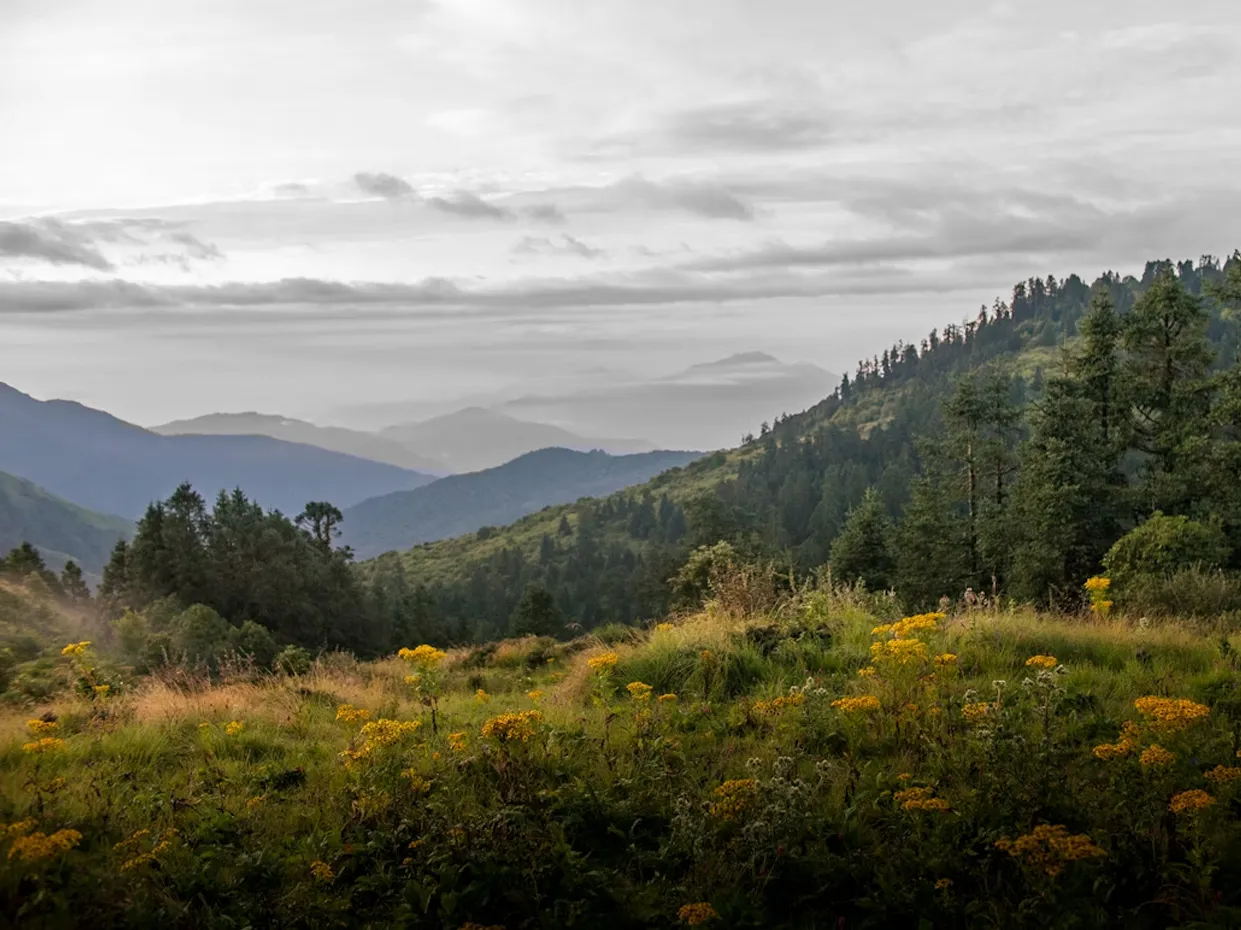 analyser le troisième plan d’un paysage en perspective atmosphérique