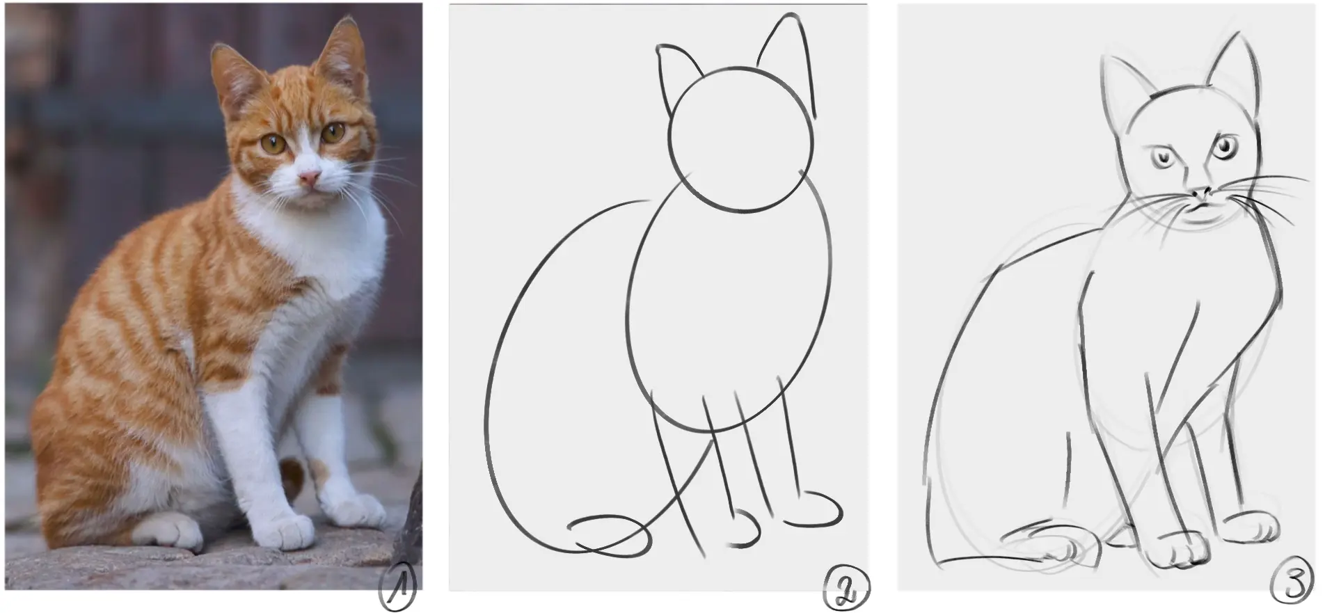 simplifier les formes pour dessiner plus vite