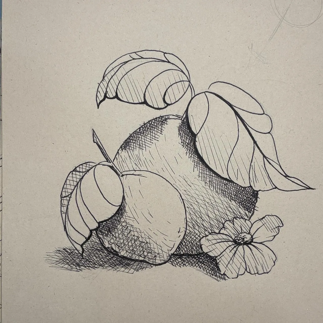 dessin au stylo plume