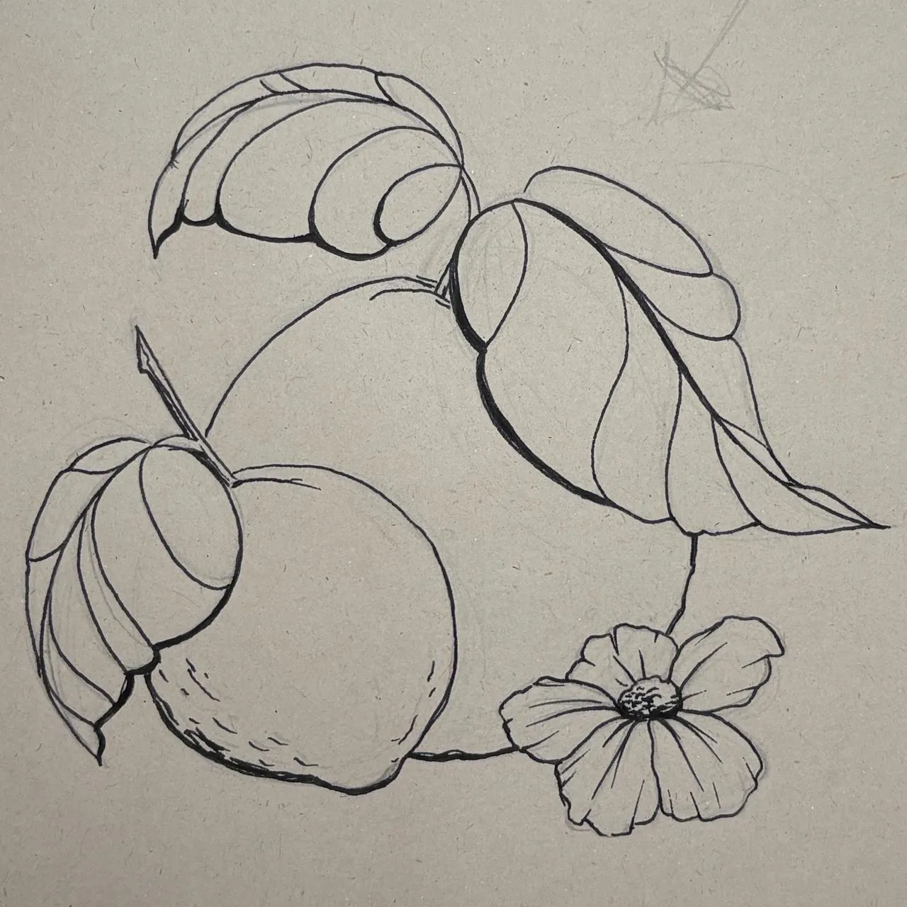 dessiner des traits au stylo plume
