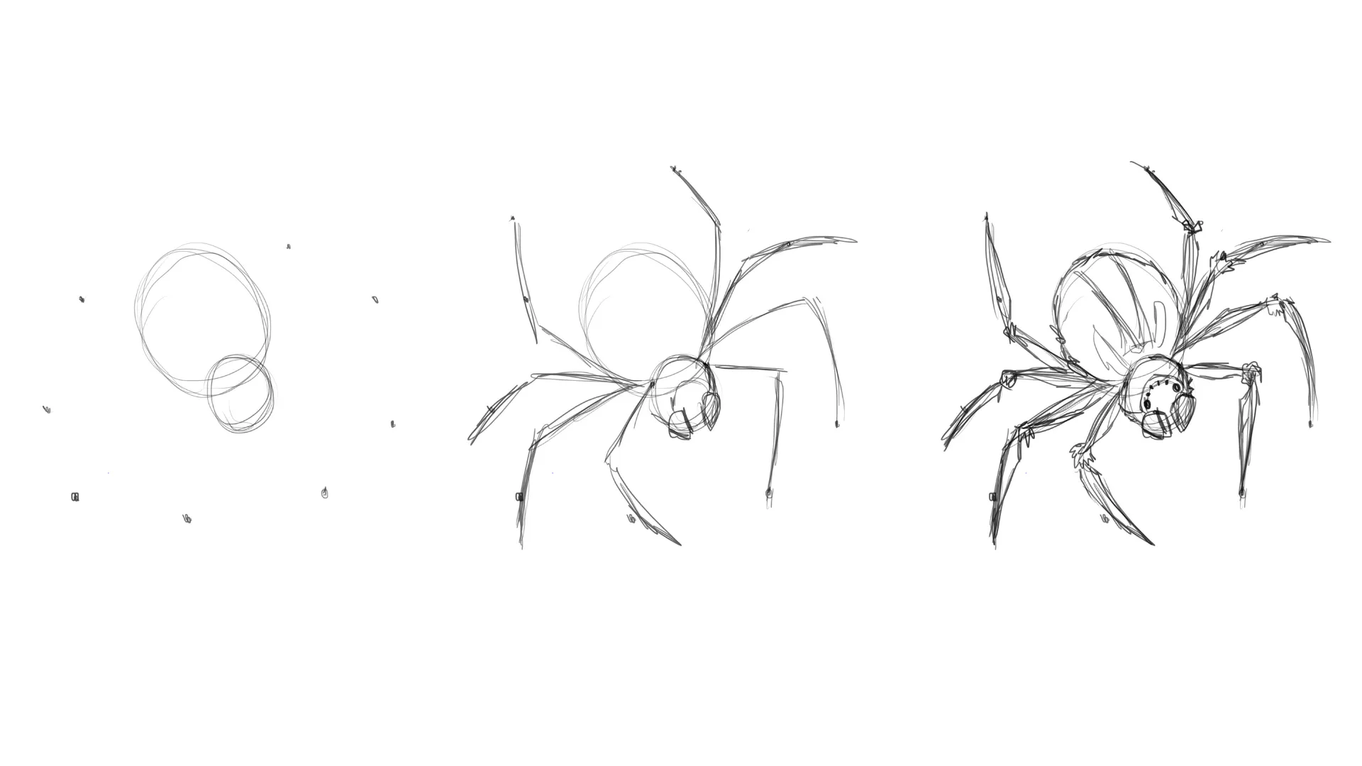 dessiner la base d'une araignée
