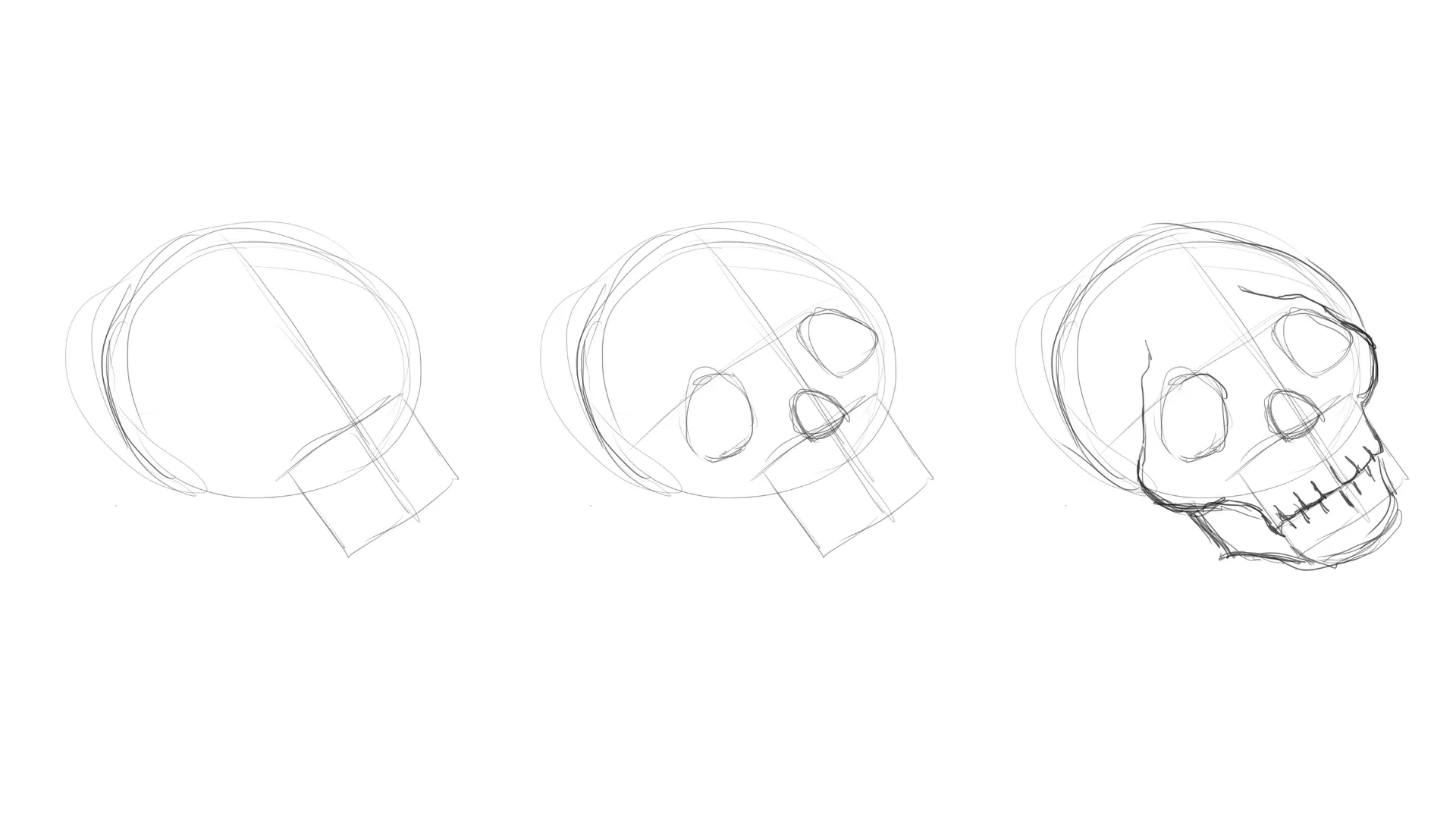 dessiner la base d'un crâne
