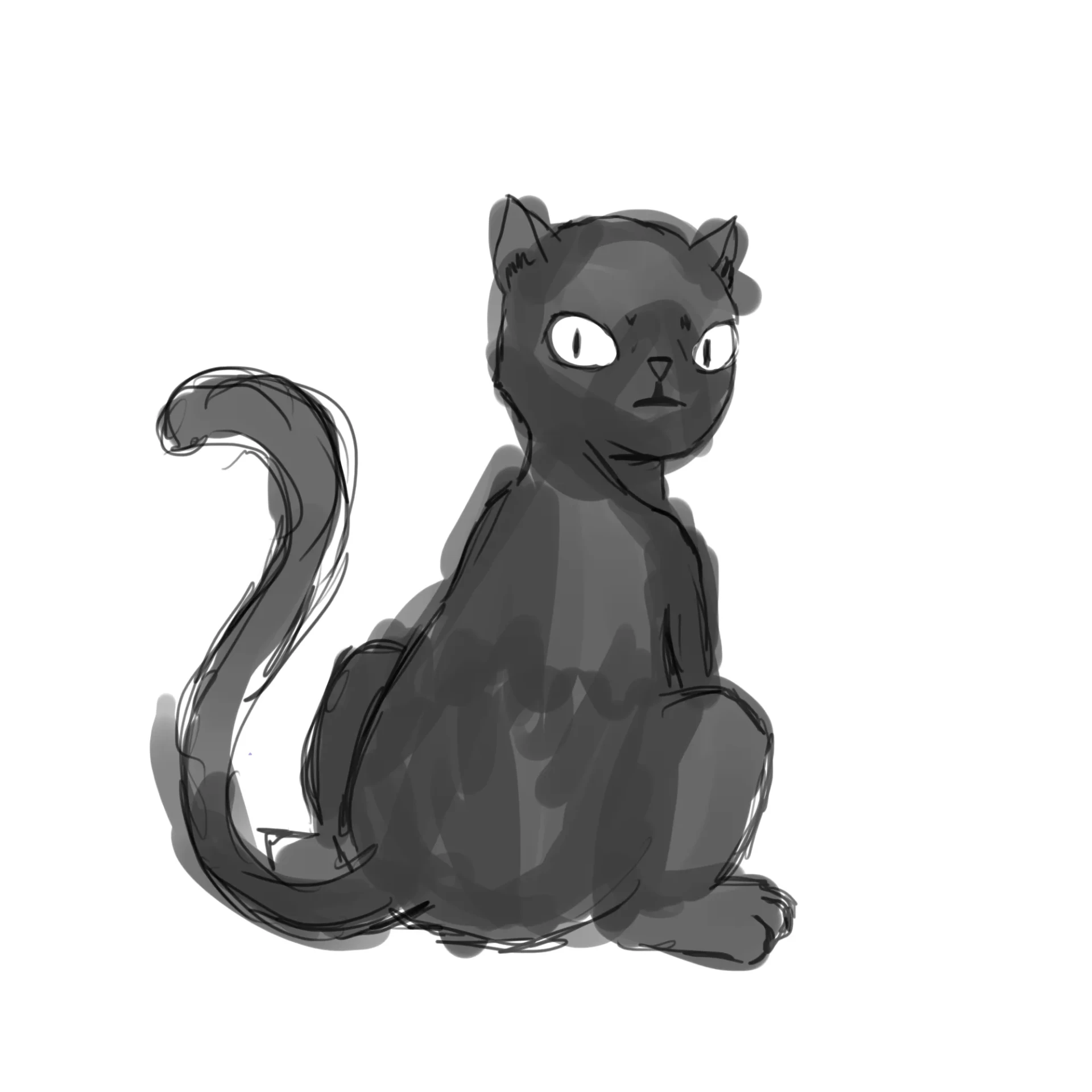 dessiner un chat noir