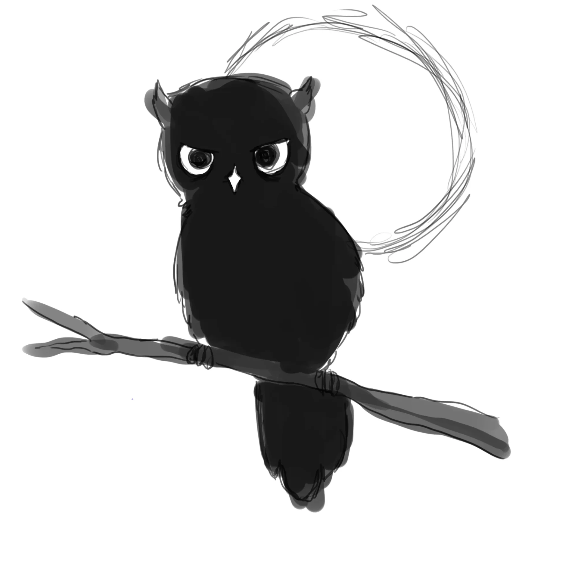 dessiner un hibou