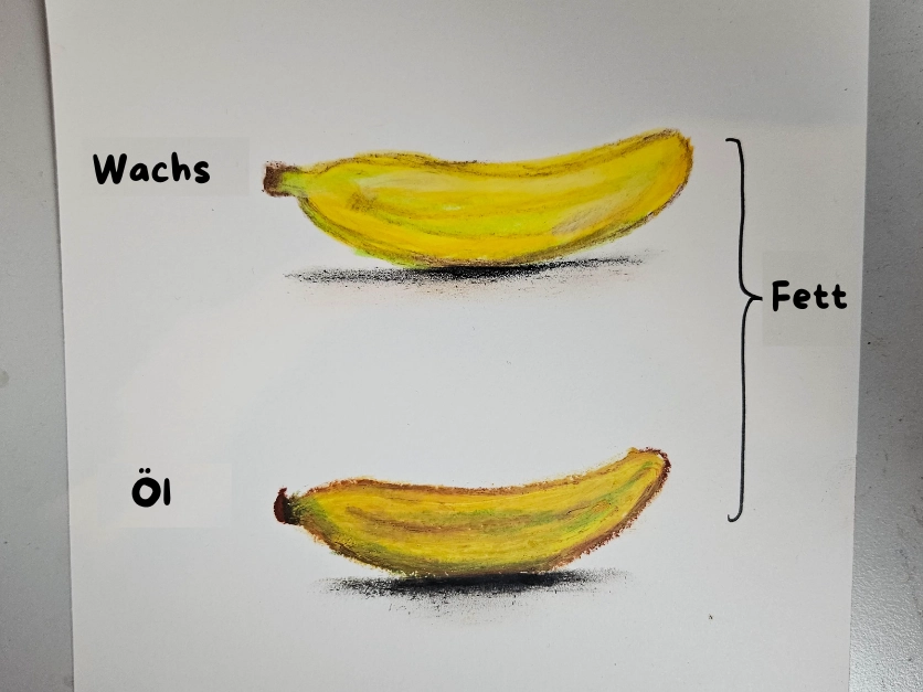 Zeichnung einer Banane mit Ölkreide