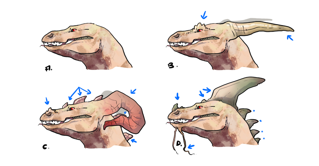 dessiner différentes têtes de dragon