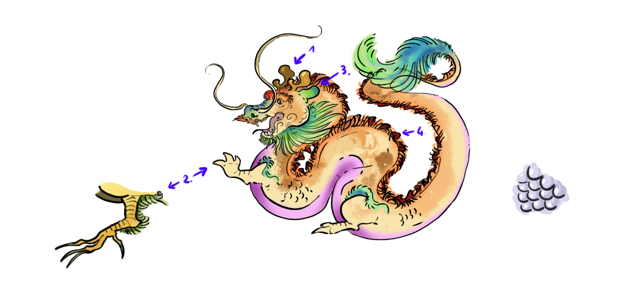 dessin d'un dragon oriental