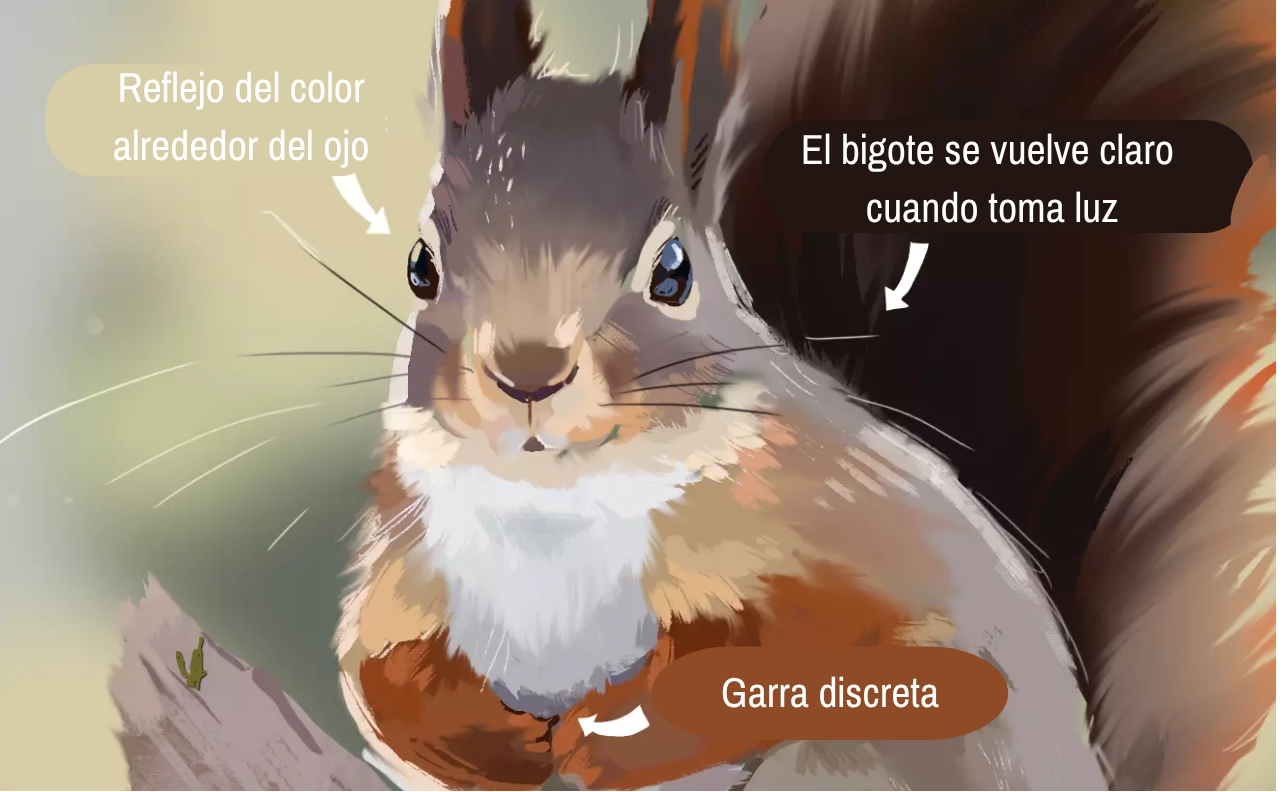 Dibujar una ardilla