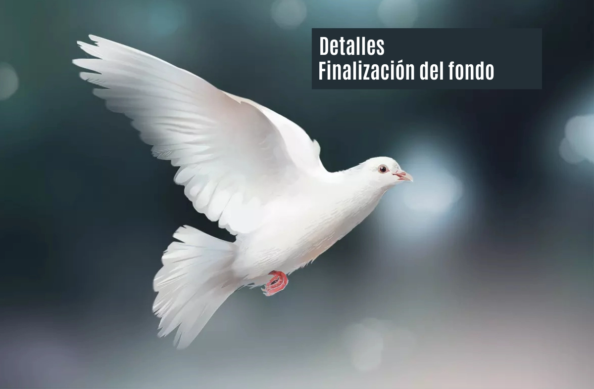 dibujar bocetos de ardilla