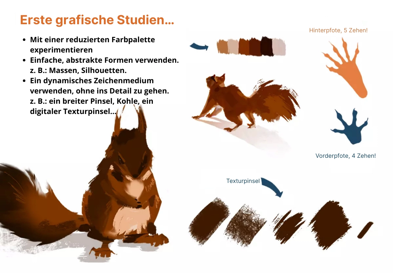 die Farbpalette des Eichhörnchens