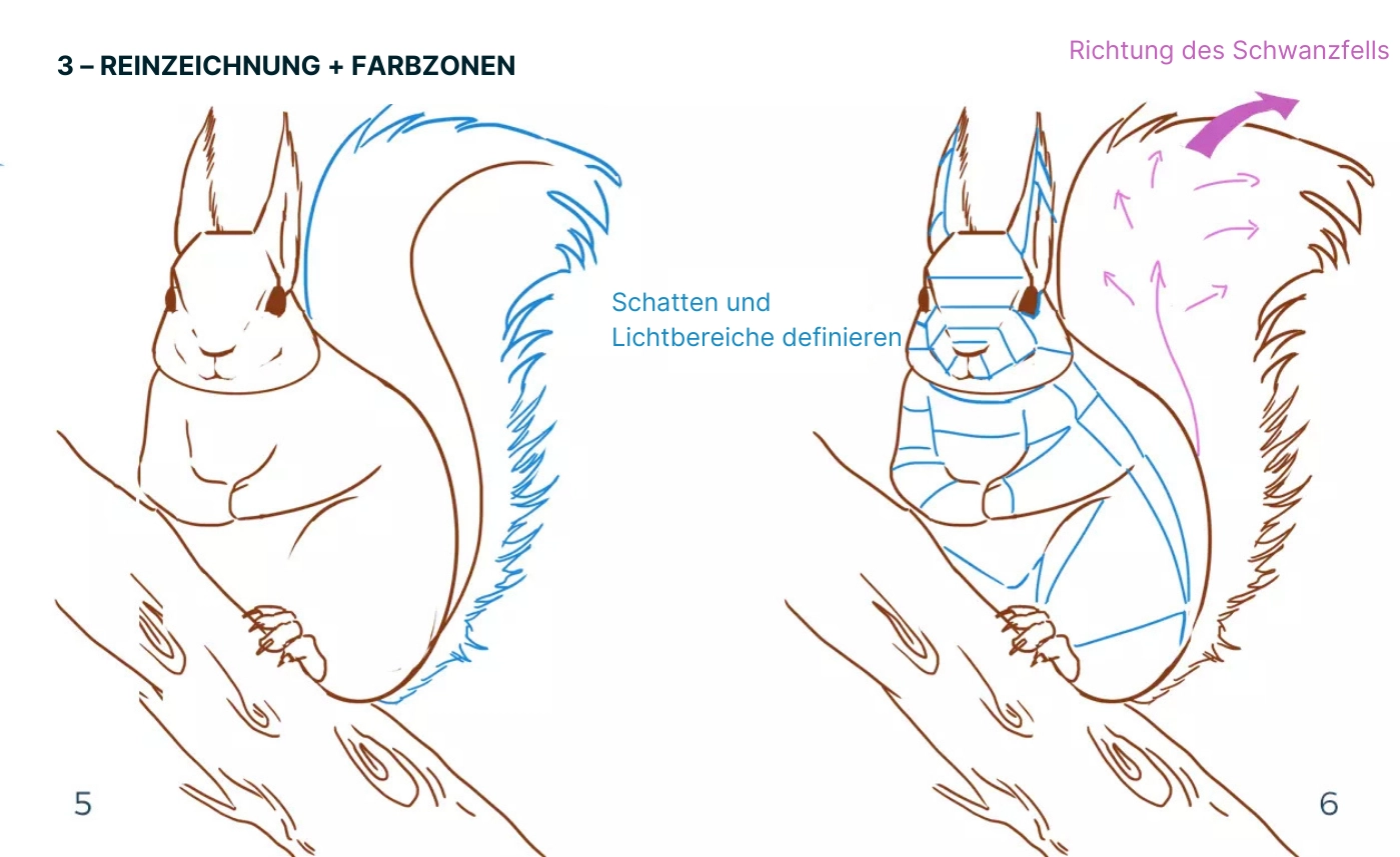 die Farben eines Eichhörnchens zeichnen