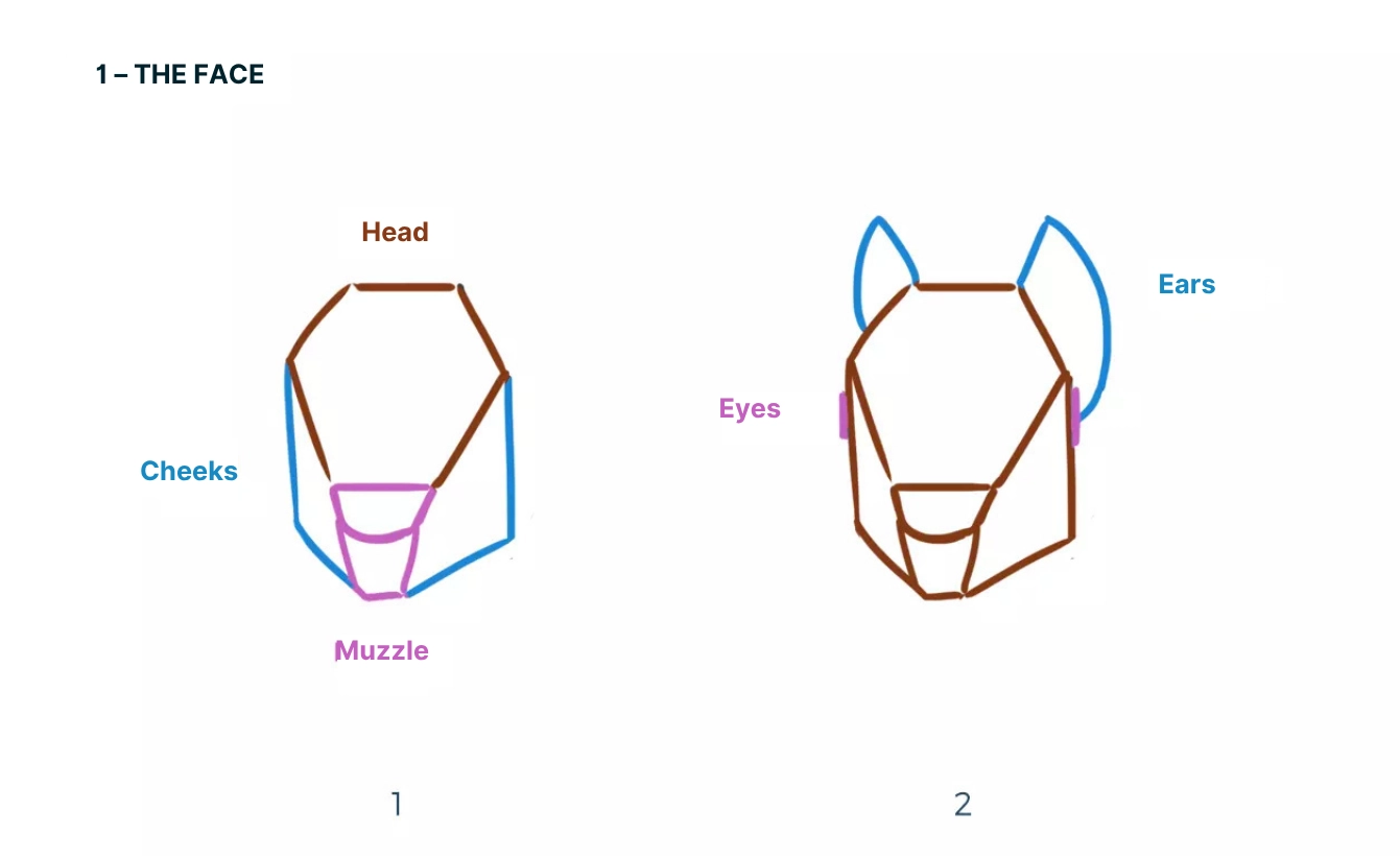 drawing of a squirrel's face