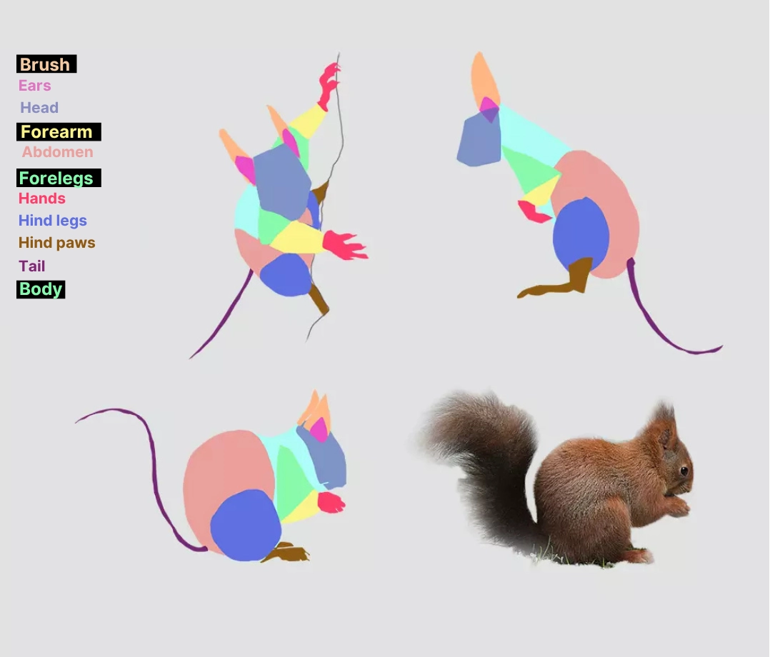 image of a squirrel's postures
