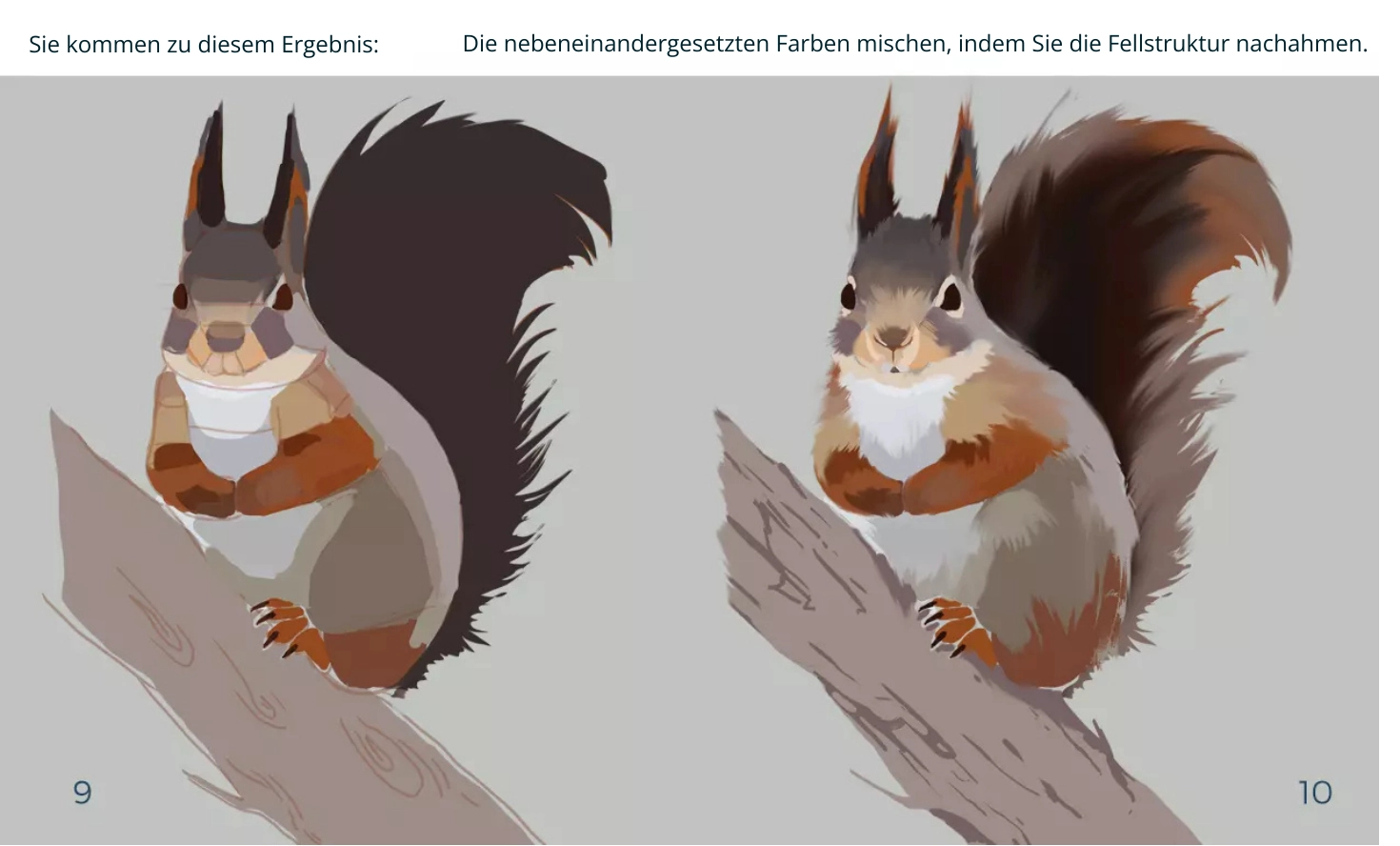 Zeichnung der Details eines Eichhörnchens