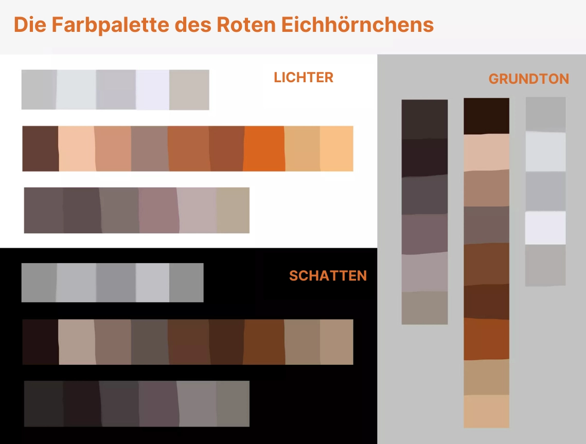 Zeichnung des Gesichts eines Eichhörnchens