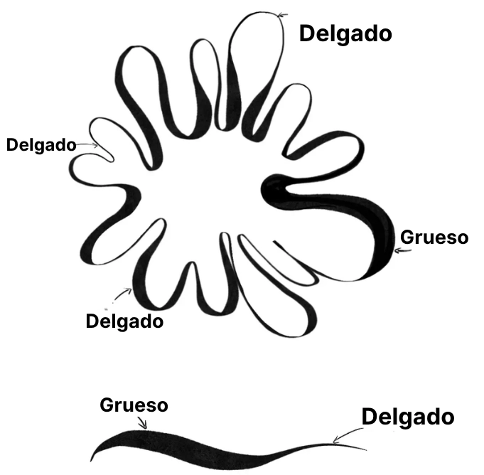 dibujar los trazos gruesos y finos durante un entintado