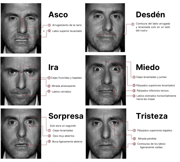 les principales expressions du visage las principales expresiones faciales