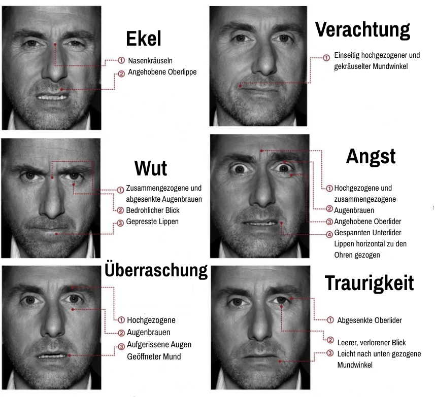 les principales expressions du visage die wichtigsten Gesichtsausdrücke