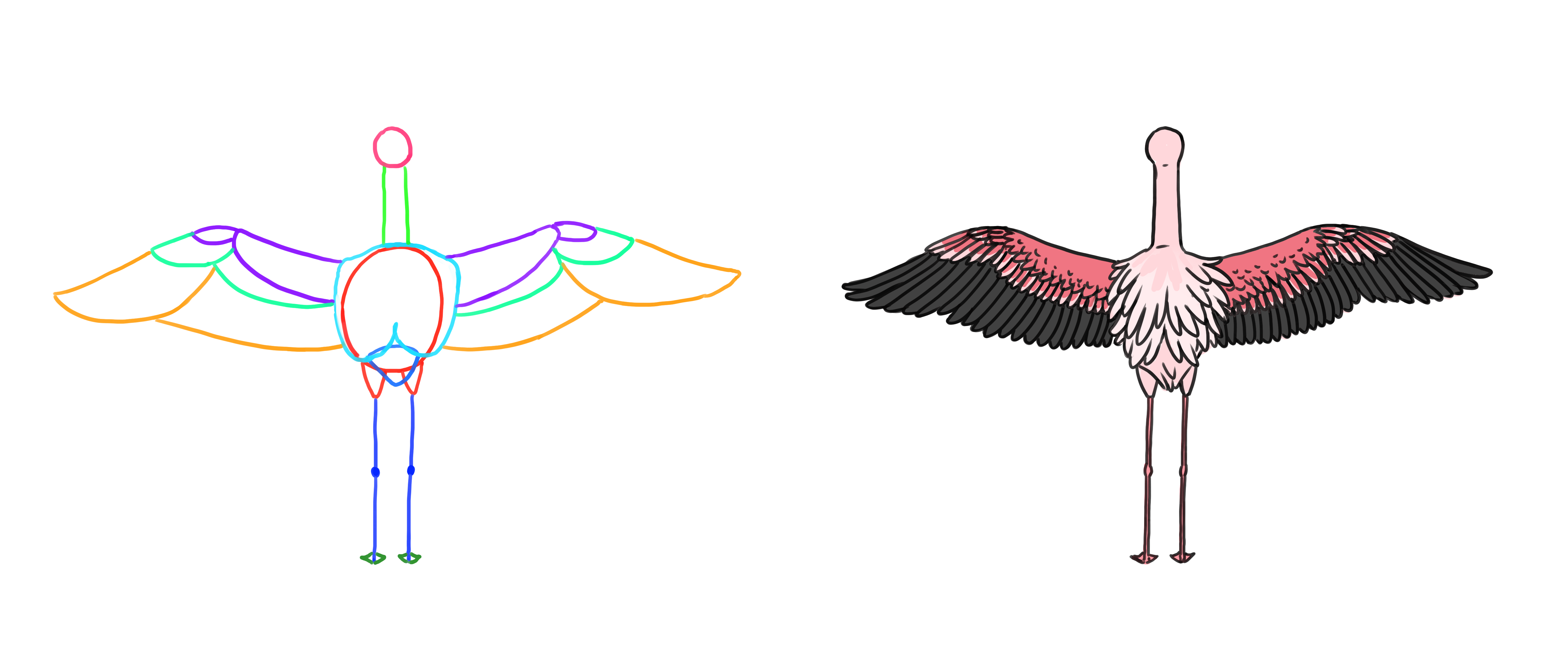 dessin les ailes d’un flamant rose de dos