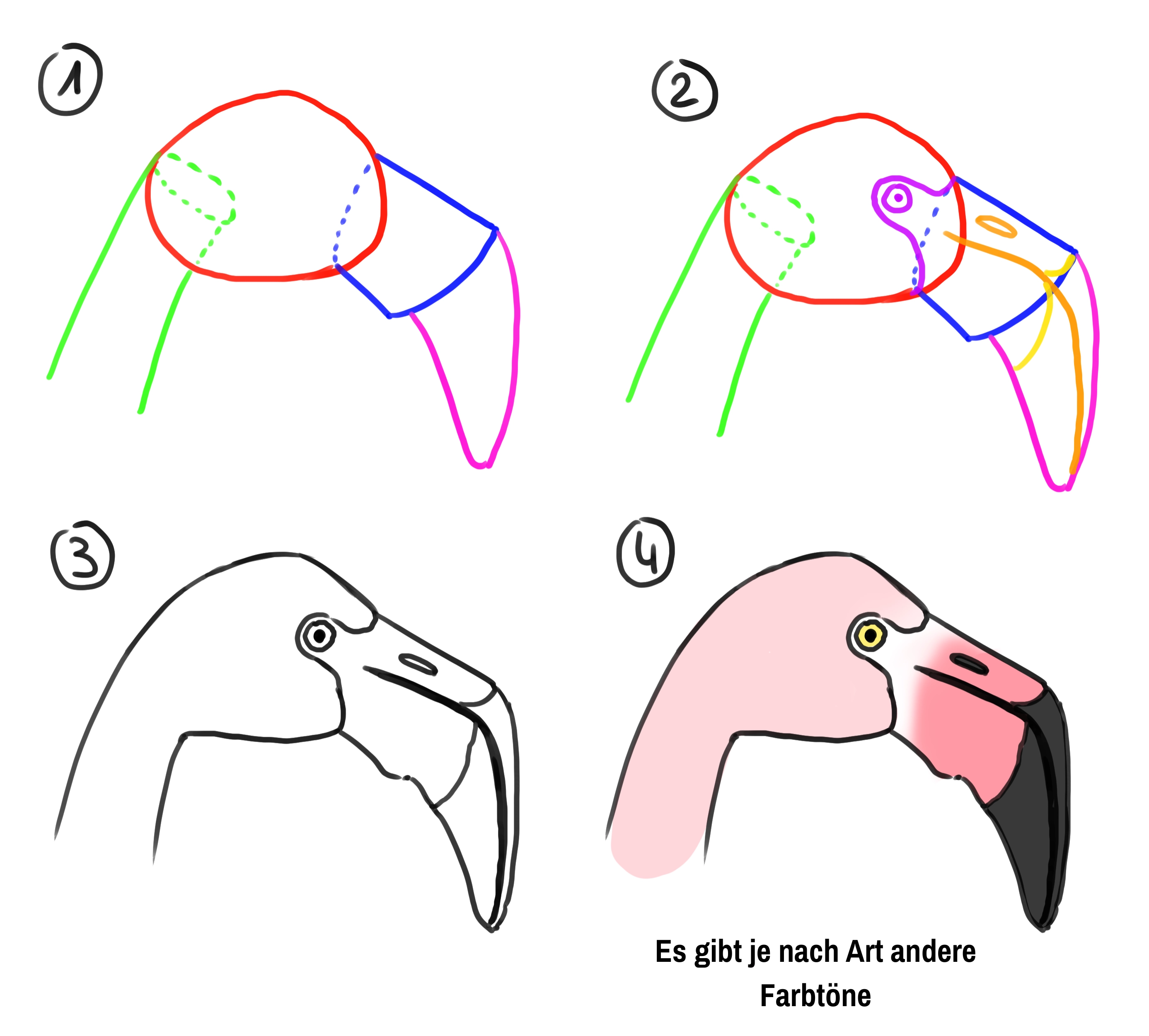 Zusammensetzung des Kopfes eines Flamingos