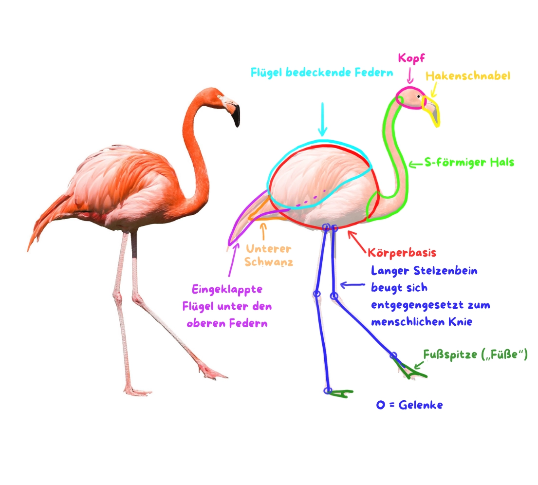 Schema eines rosa Flamingos