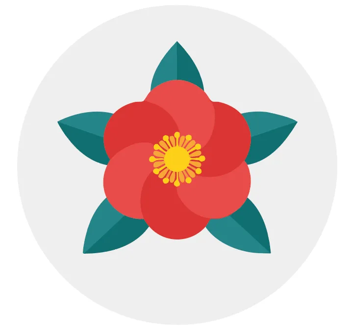 les caractéristiques d’une fleur de camélia