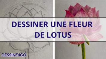 Dessiner une fleur de lotus