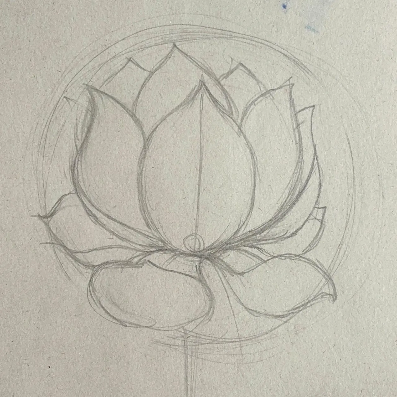 dessiner les détails des pétales d’une fleur de lotus