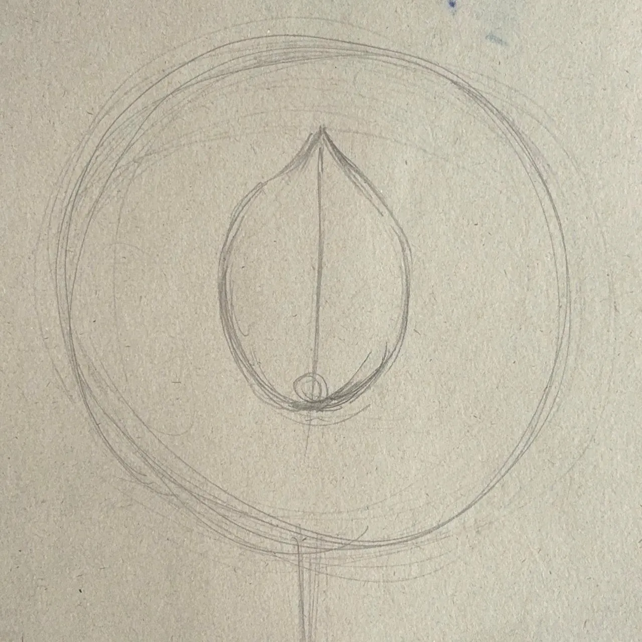 dessiner la forme d’une fleur de lotus