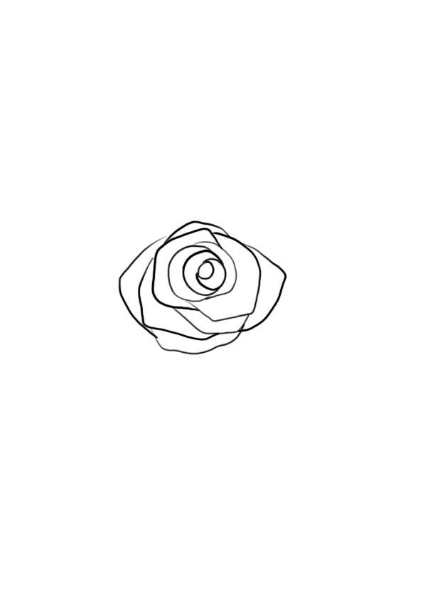 dessiner une fleur : la rose étape 5