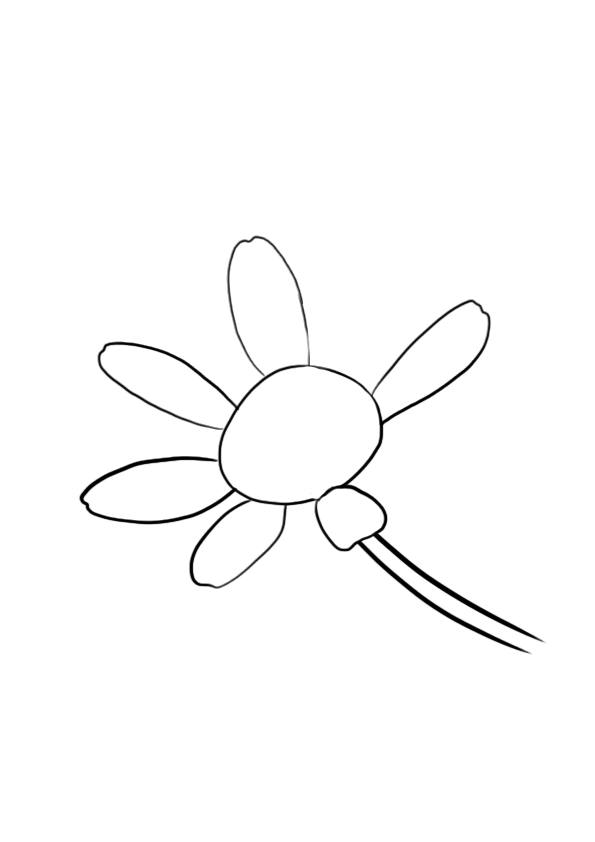 dessiner une fleur : la marguerite étape 3
