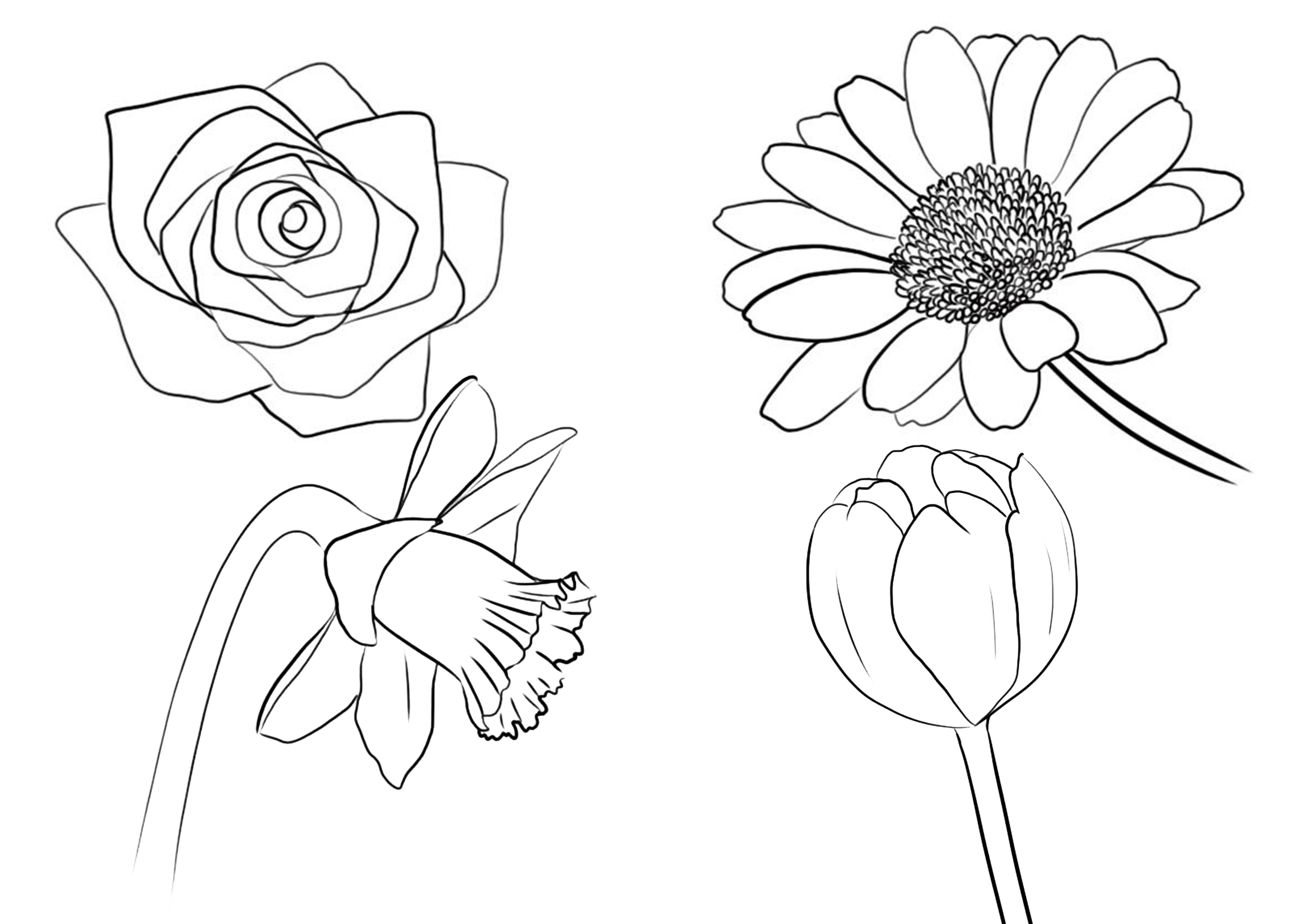 Fleurs à Dessiner Comment dessiner une fleur - Blog - Dessindigo