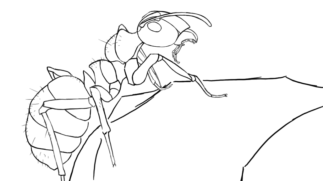 dessiner une fourmi