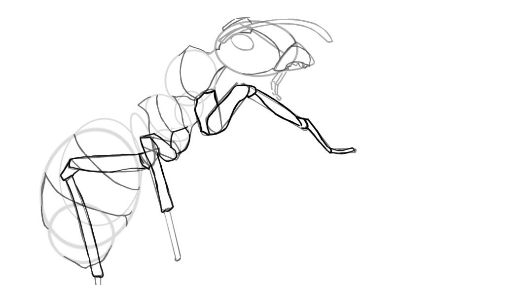 dessiner les pattes d’une fourmi