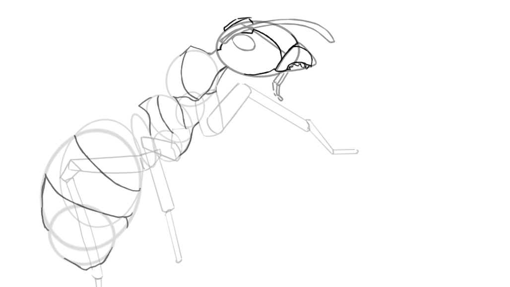 dessiner la tête et les dents d’une fourmi