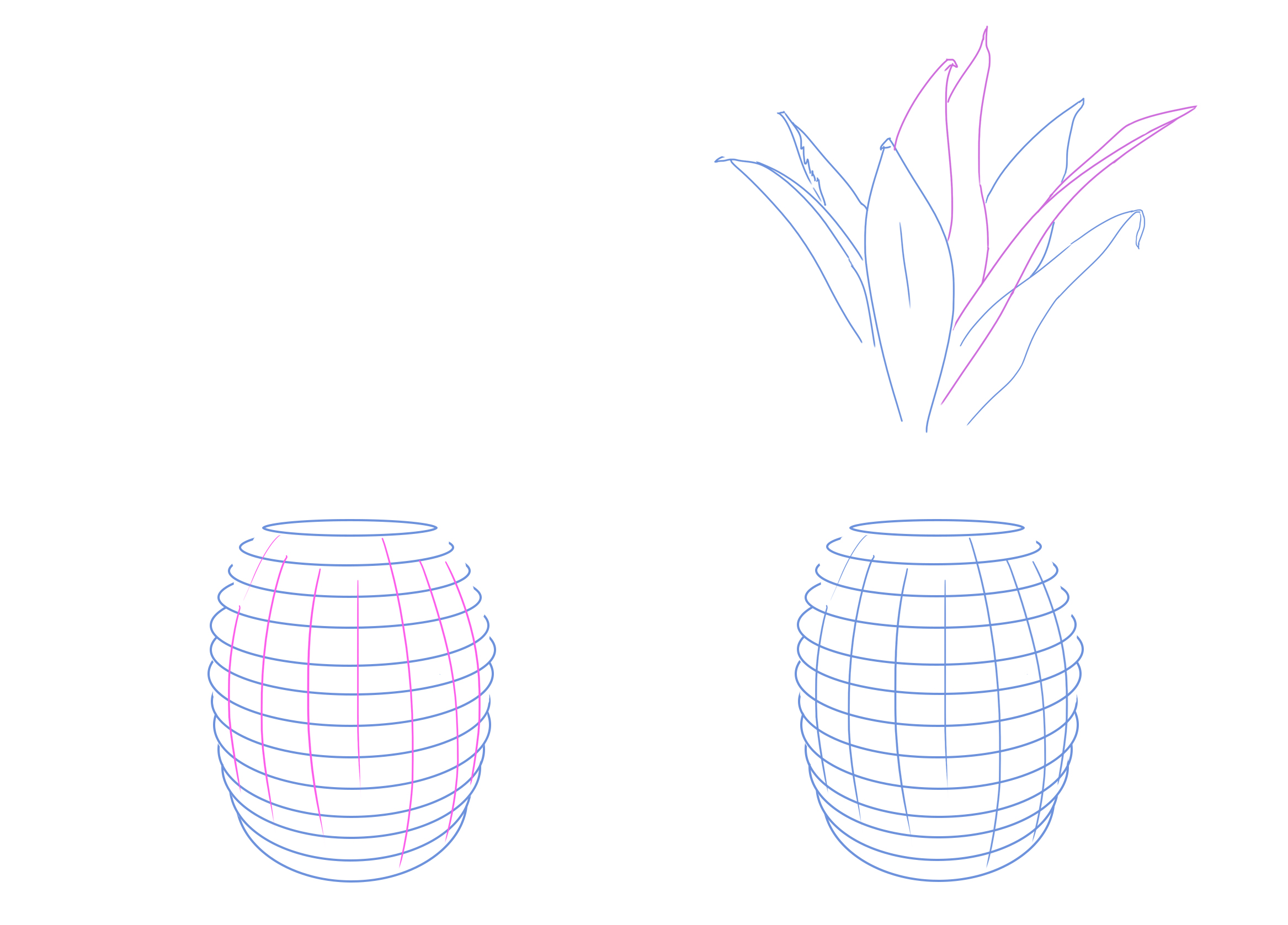 dessiner les lignes conductrices de l’ananas