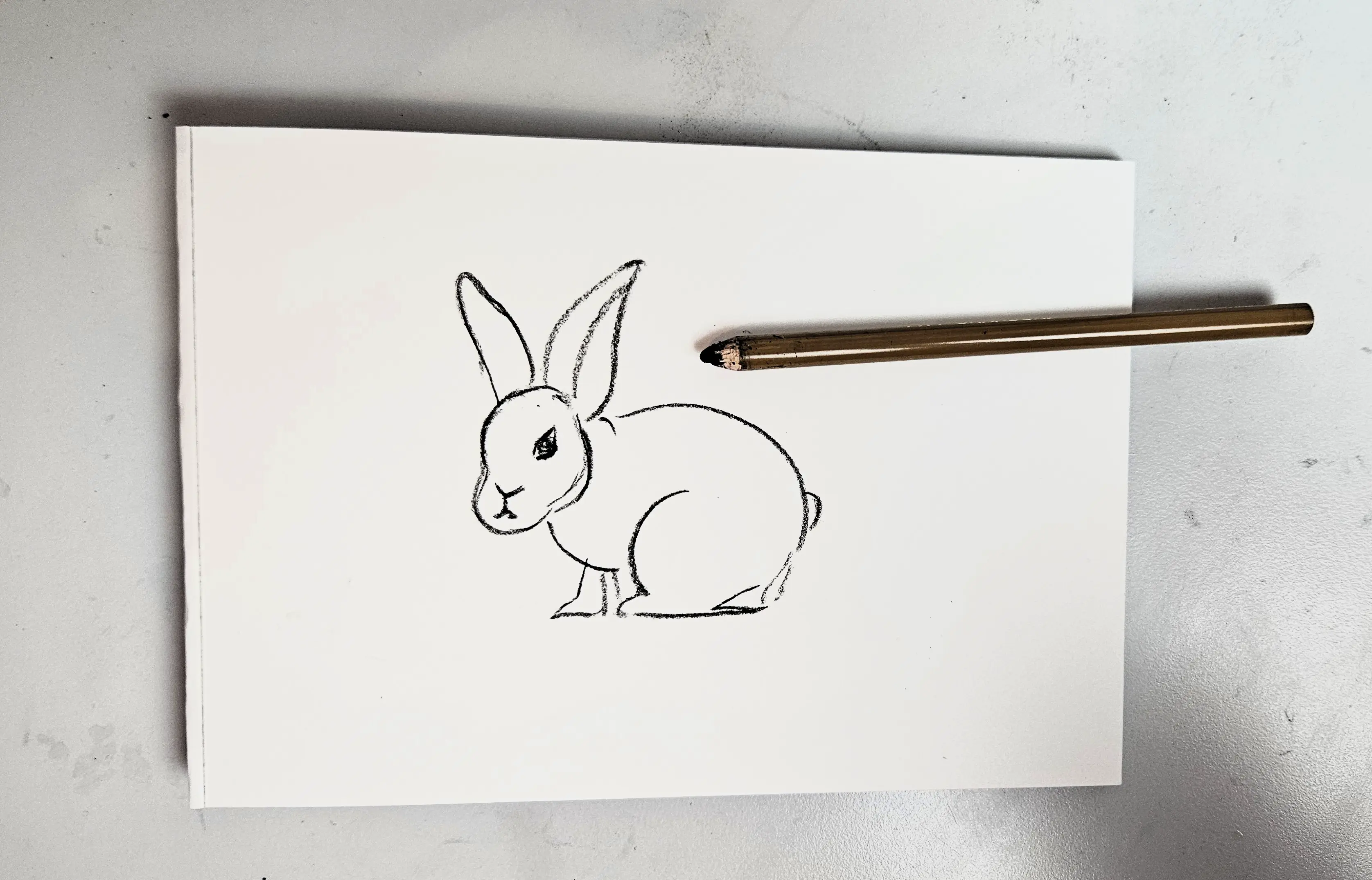 croquis d’un lapin au fusain